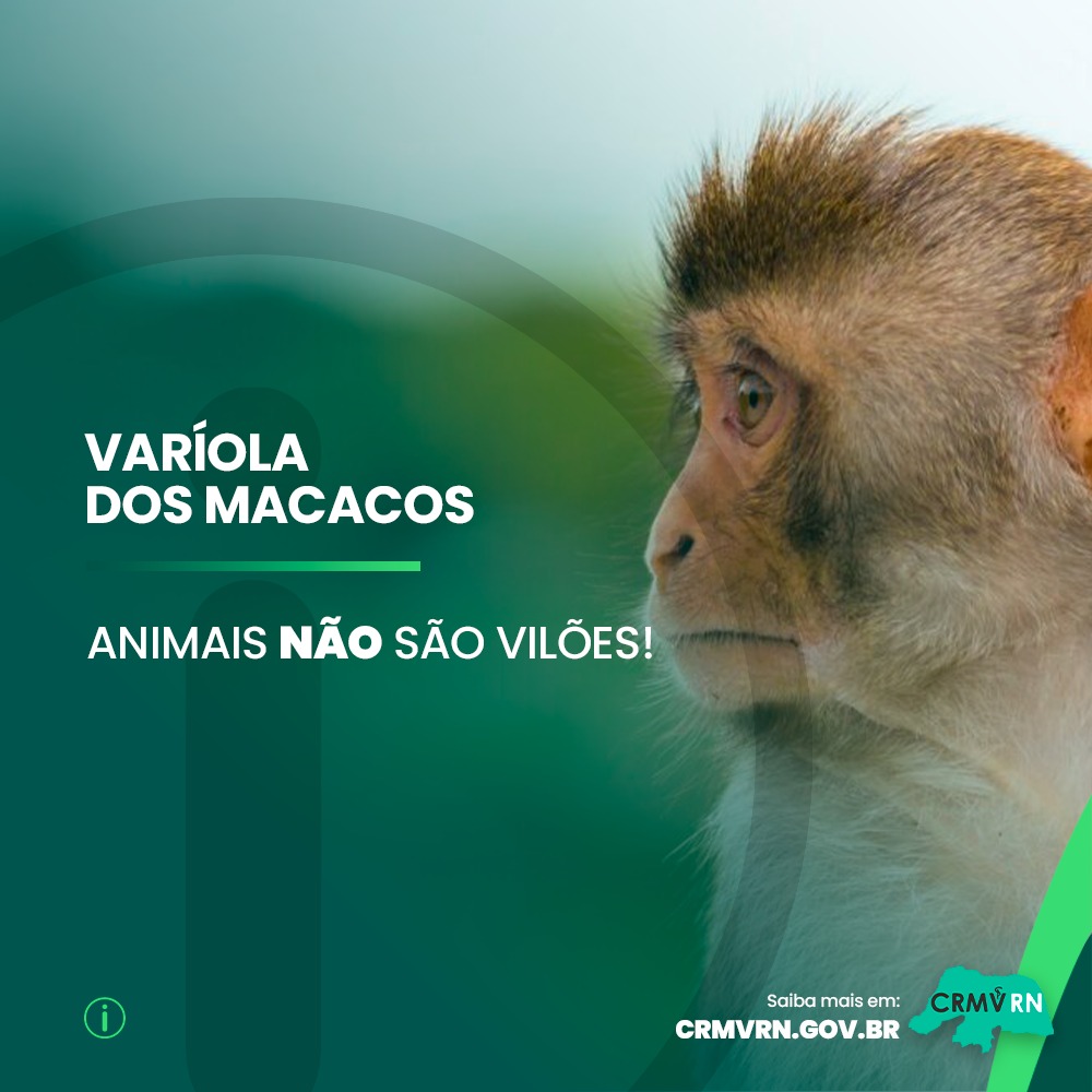 Varíola dos Macacos: os animais NÃO são vilões